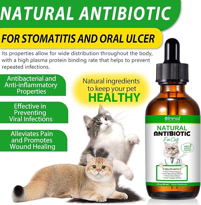 Antibiotics for Cats, Cat Antibiotics for Injections, Natural Cat antibiotic for Immune & Allergy Relief, Cough Relief, Yeast Injection, UTI Treatments, Cats Antibiotic Drops, 60ML