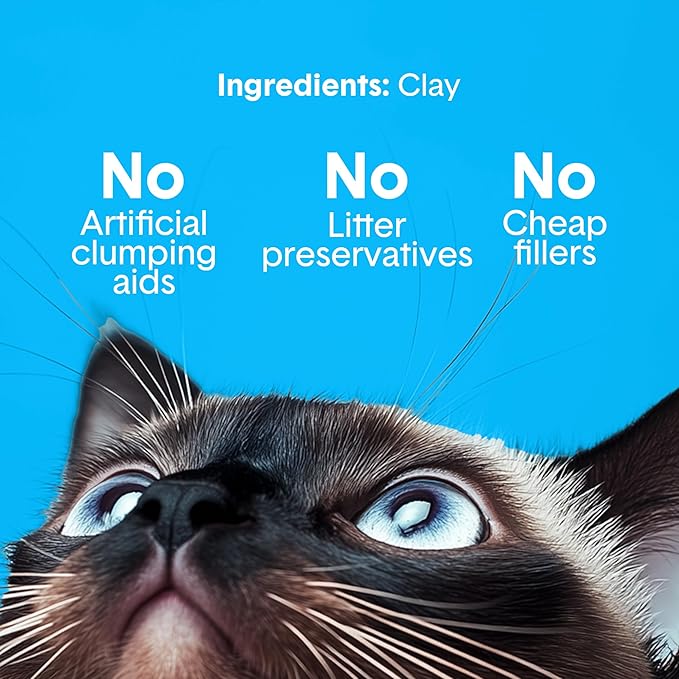 Boxie Unscented 30 Day Odor Control Clumping Clay Cat & Kitty Litter 16 lb, 99.9% Dust-Free, Hard Flat Top Clumps, No Fragrances No Fillers, Long-Lasting, Easy to Scoop