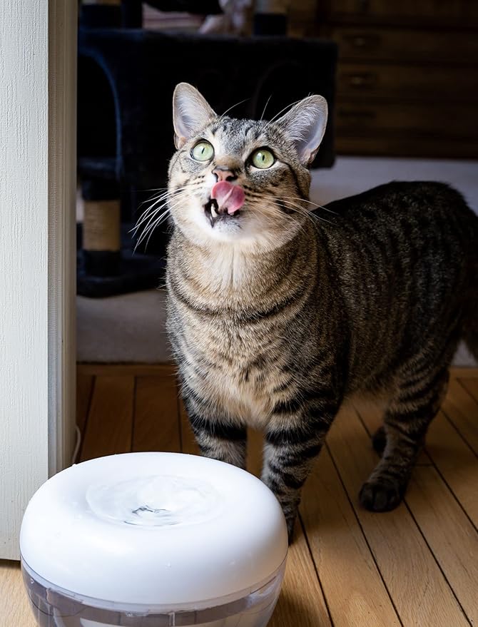 PURRoducts Purrfect Water Fountain for Cats and Small Dogs with Premium 5-Layer Filter That Lasts Up to Two Months. Splash Free and Tip-Proof Design. Low Water Auto Shut-Off Feature.