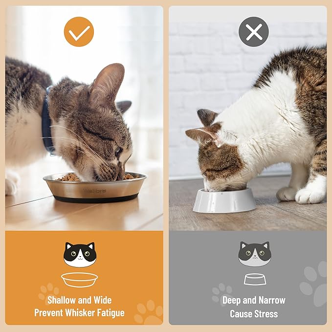 Cat Bowls, 2 Pcs Stainless Steel Cat Bowls for Food and Water, Whisker Fatigue Shallow Non-Slip Dishes Plates for Small Dog Puppies Cats