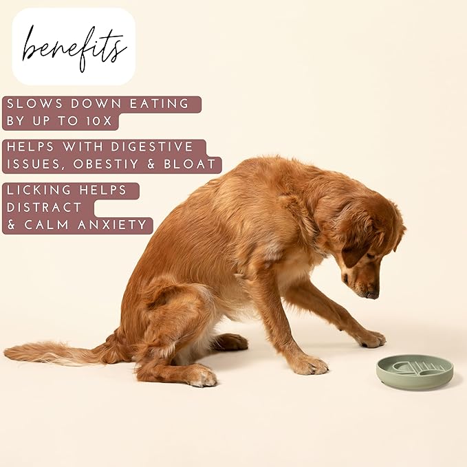 The Slowdown Bowl Silicone Slow Feeder for Dogs & Puppies, Slow Eating Modern Lick Mat Design Reduces Gulping, Fits 2 Cups 7.5” Across x 1.5” Tall, Mealtime Challenge, Medium-Sage