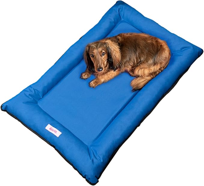 DBD3004D-XL Archie 46" x 41.5" Traditional Oxford Waterproof Indoor/Outdoor Hand-Washable Memory Foam Camping Pet Bed, Cobalt