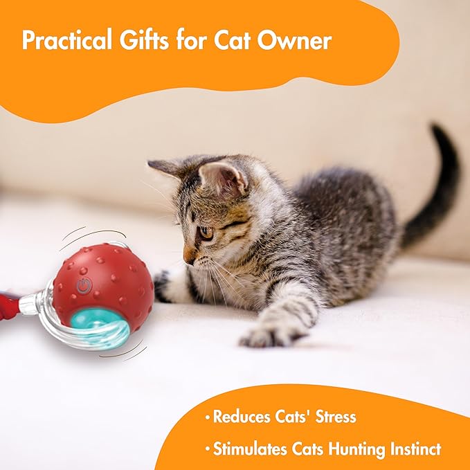 Interactive Cat Toys Ball for Indoor Cats, Automatic Fast Rolling Cats Toys to Keep Them Busy, Chirping & Motion Activated Moving Kitten Toy (Red)