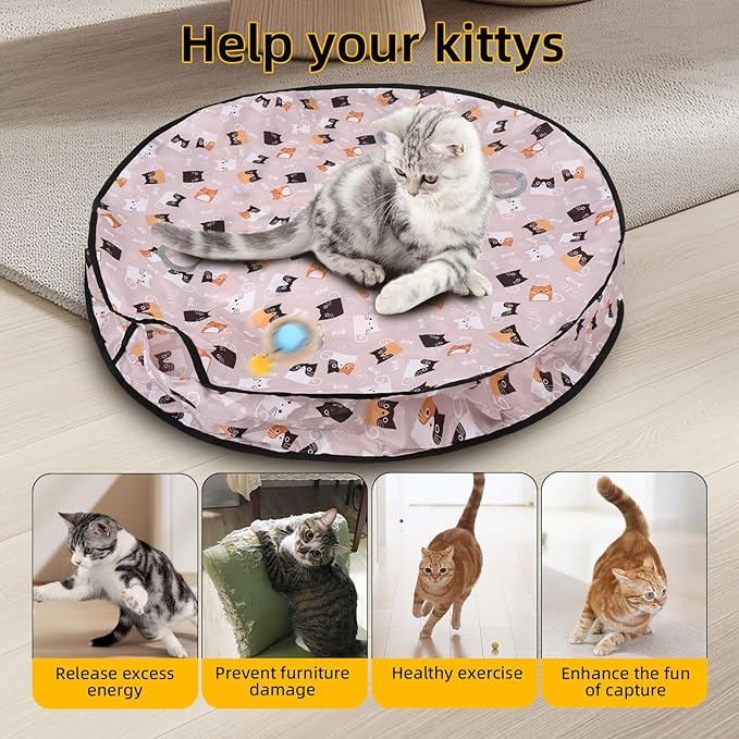 ETACCU Cat Toys,Interactive Cat Toys for Indoor Adult Cats, Automatic Rolling Ball Chase Mate, Stimulates Hunting Instincts, Hide and Seek Mouse Catching Game, 2 Speed for Adult Cats and Kittens