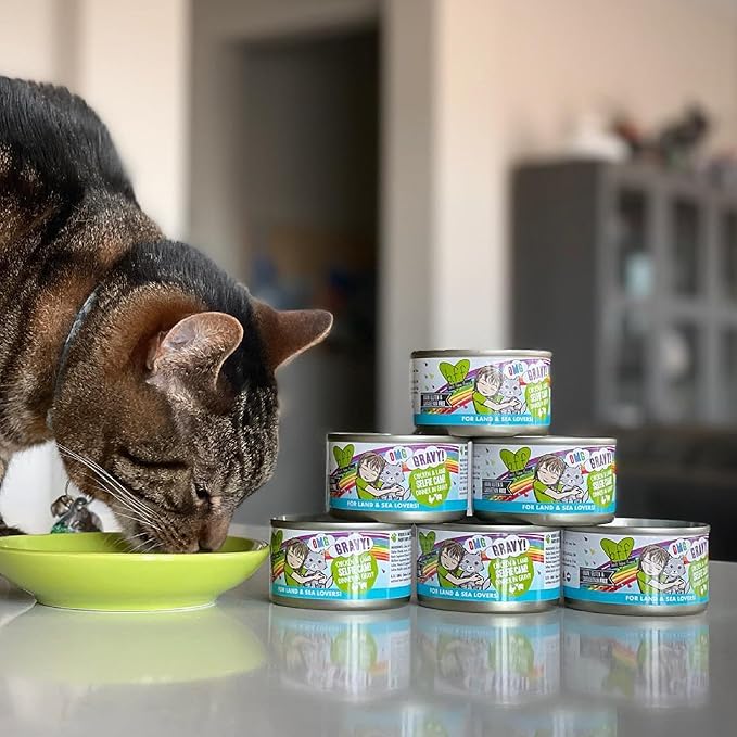 Weruva B.F.F. OMG - Best Feline Friend Oh My Gravy!, Best Day Eva! with Beef & Salmon in Gravy Cat Food, 5.5oz Can (Pack of 8)