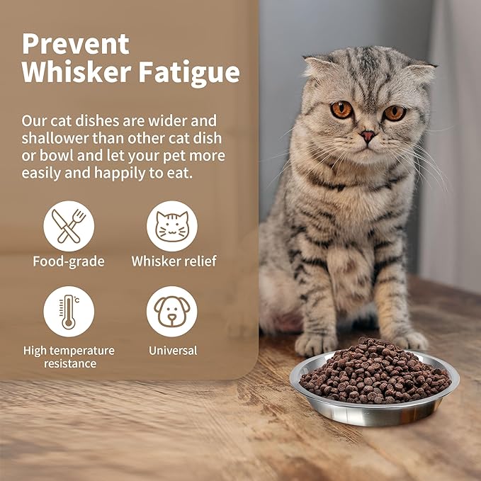 HUOIQUE 10 Pcs 6.2 Inches Stainless Steel Cat Bowls, Whisker Fatigue Cat Bowl for Food and Water, Metal Shallow Cat Dishes