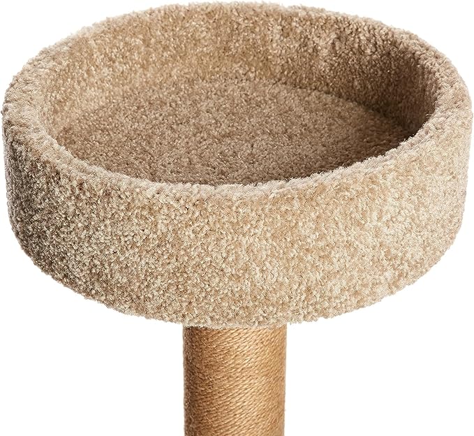 Amazon Basics Cat Tree - Indoor Cat & Kittens Multi-Level Climbing Activity Tower with Scratching Posts, Medium (31.5"H) - Beige
