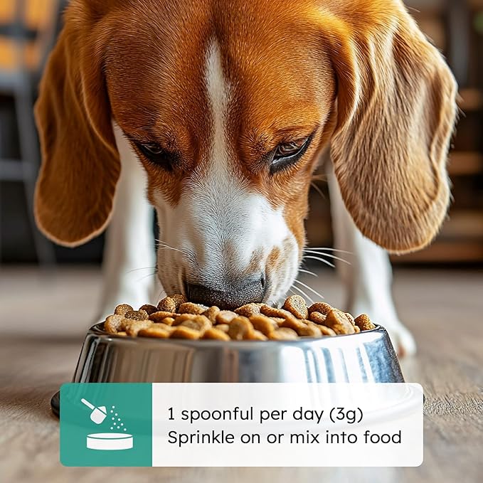 Dog Teeth Cleaning Powder - Dog Breath Freshener + Dental Care for Doggies & Cats + Tartar Remover for Teeth with Natural Ingredients + Probiotics Blend (Mint - 100g)