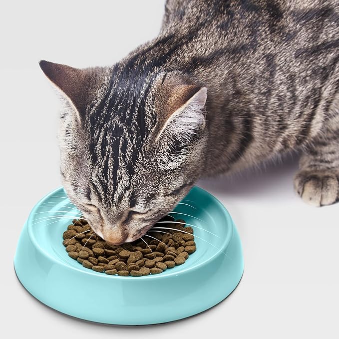 CatGuru Cat Bowls, Whisker Friendly Cat Food Bowl for Indoor Cats, Reliefs Whisker Fatigue, Wide Pet Bowl, Non Slip Pet Feeding Plate, Shallow Kitten Dish (Set of 2 Bowls, Aruba)