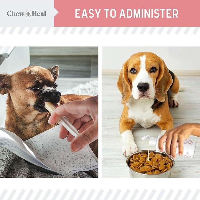 Chew + Heal Labs Anti Diarrhea for Dogs 2oz - Fast Relief Liquid Dog Diarrhea Supplement with Kaolin Pectin Formula - Effective Diarrhea Treatment and Dog Health Upset Stomach Supplement