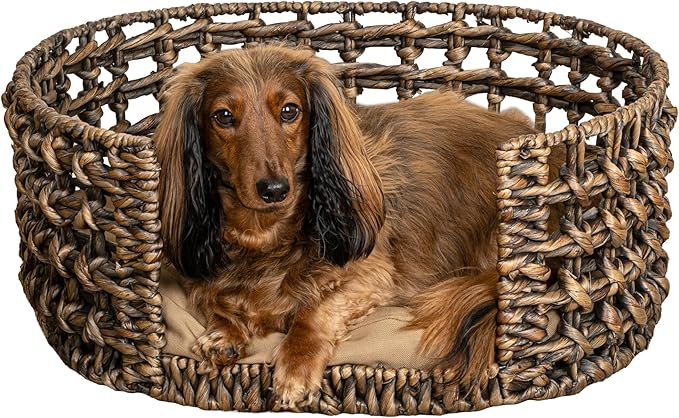 DBD4000B Gigi 24" x 18" Modern Bohemian Handwoven Hyacinth Open-Weave Oval Pet Bed with Machine-Washable Cushion, Brown