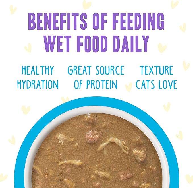 Weruva B.F.F. OMG - Best Feline Friend Oh My Gravy!, Chicken Cloud 9 with Chicken in Gravy, 5.5oz Can (Pack of 8)