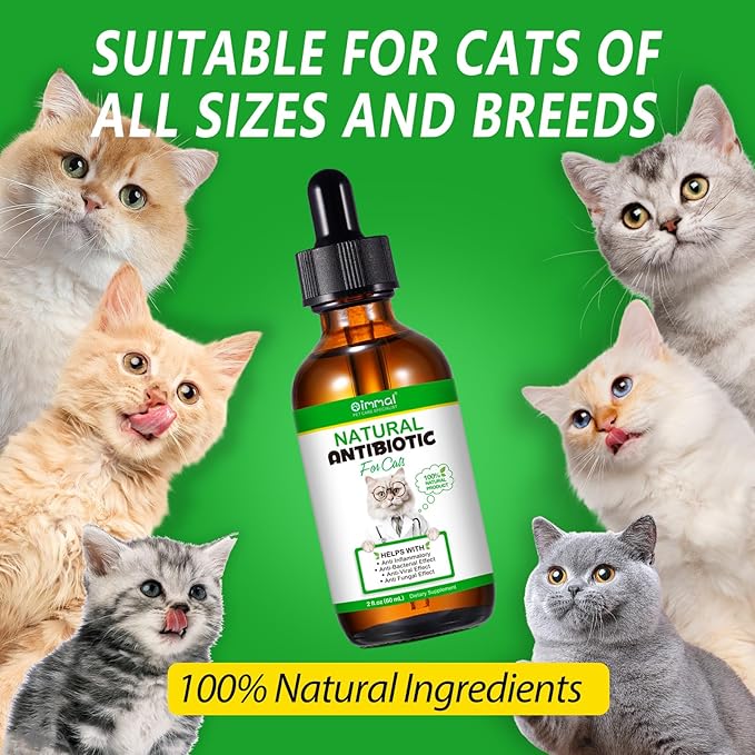 Antibiotics for Cats, Cat Antibiotics for Injections, Natural Cat antibiotic for Immune & Allergy Relief, Cough Relief, Yeast Injection, UTI Treatments, Cats Antibiotic Drops, 60ML