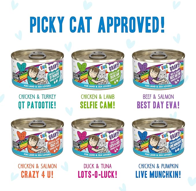Weruva B.F.F. OMG - Best Feline Friend Oh My Gravy!, Variety Pack, Rainbow Road, Wet Cat Food by, 2.8oz Can (Pack of 12)