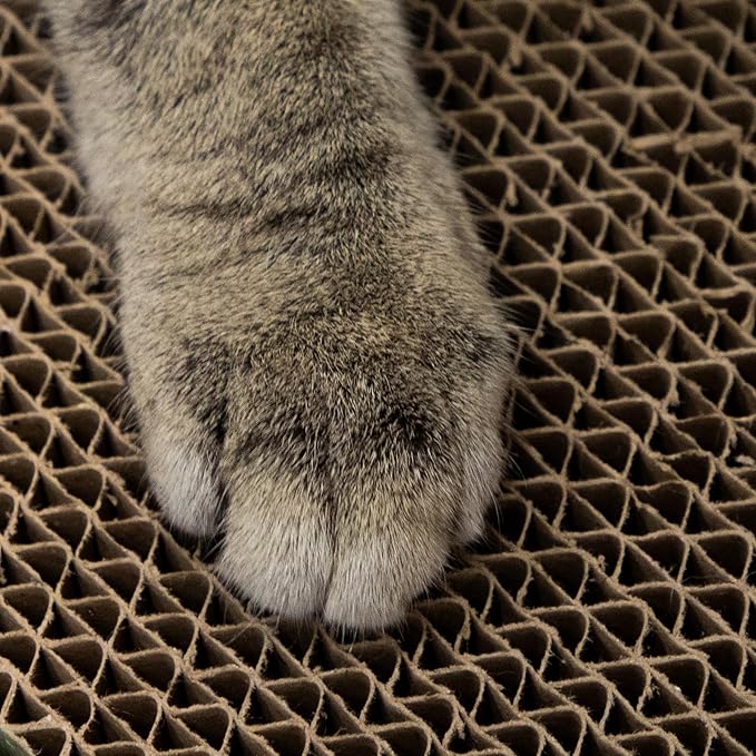 Kitty City XL Cat Scratchers (2-Pack, Novelty)