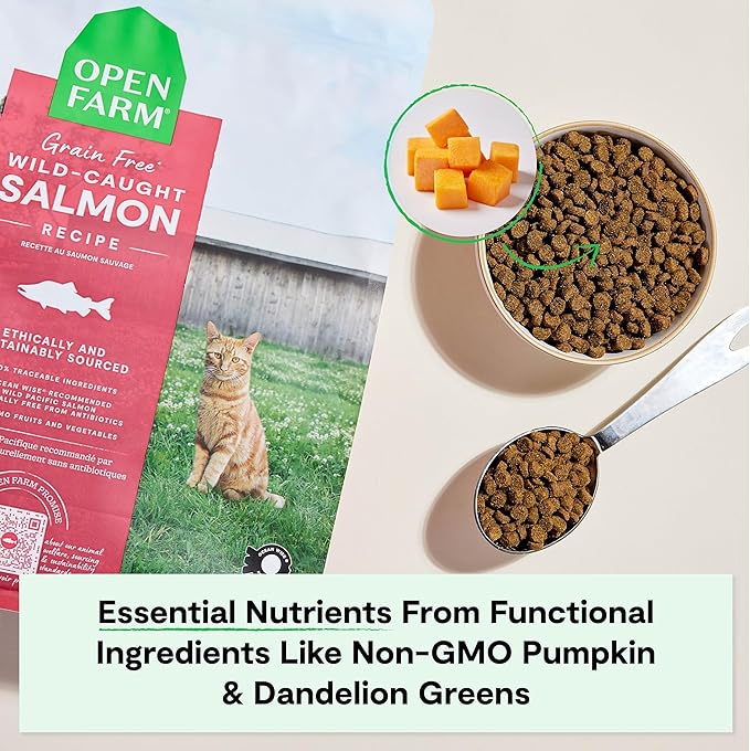 Open Farm, Grain Free Dry Cat Food, High-Protein Kibble for a Complete & Balanced Diet, Non-GMO Fruits & Vegetables, Prebiotic Fibers to Support Digestion, Wild-Caught Salmon Recipe, 8lb Bag