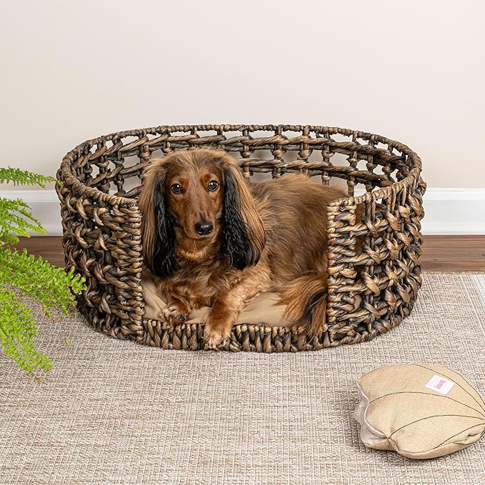 DBD4000B Gigi 24" x 18" Modern Bohemian Handwoven Hyacinth Open-Weave Oval Pet Bed with Machine-Washable Cushion, Brown