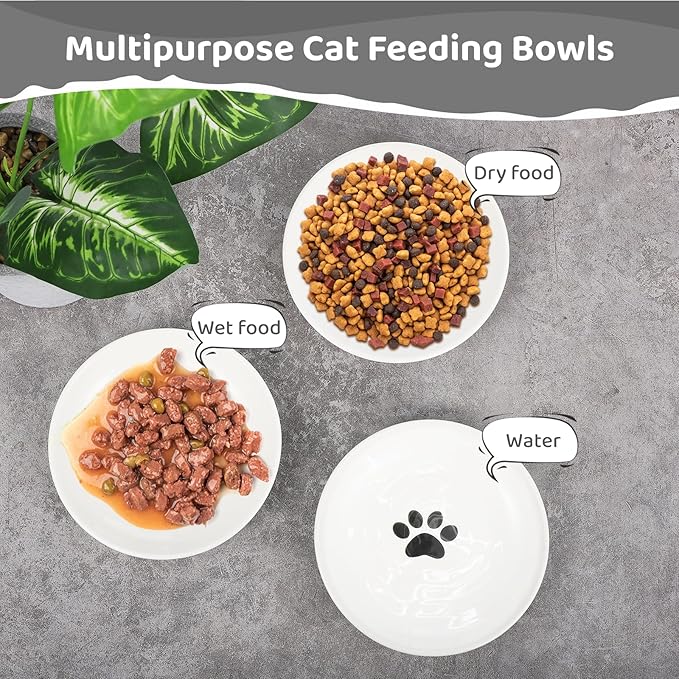 Dorakitten Ceramic Cat Bowls 6 Pack, No Whisker Fatigue Wide Shallow Cat Dishes with Non-Slip Silicone Bottom, Pet Food & Water Plates, 5.9 Inches Diameter