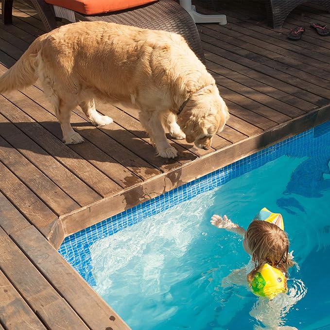 Waterproof Dog Bed - 2-Layer Memory Foam Pet Pad with Removable Machine Washable Cover - 30x21 Crate Mat for Dogs or Puppies by PETMAKER (Brown)