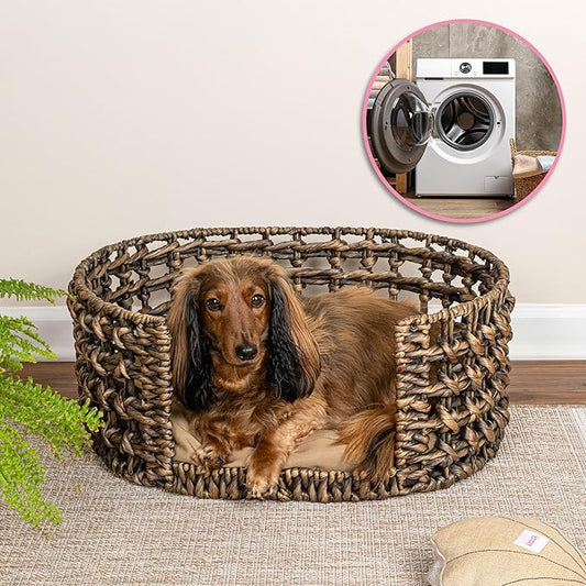 DBD4000B Gigi 24" x 18" Modern Bohemian Handwoven Hyacinth Open-Weave Oval Pet Bed with Machine-Washable Cushion, Brown