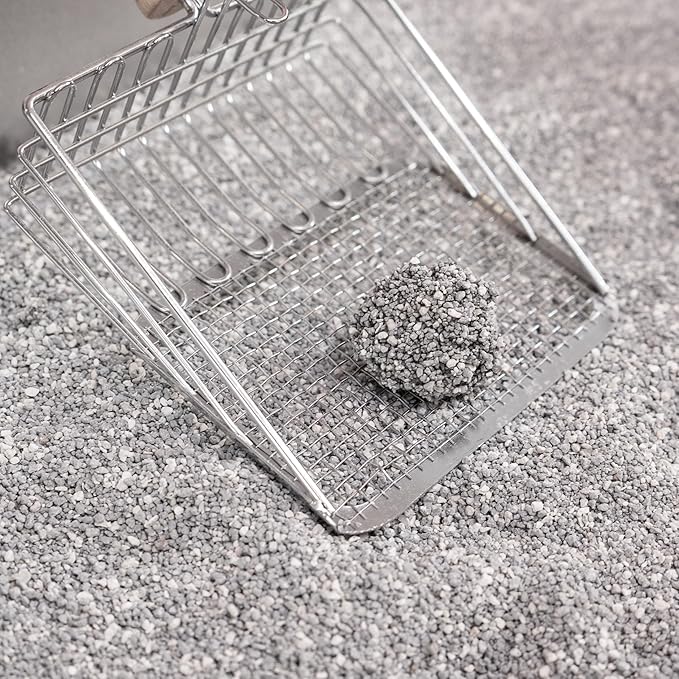 CLR2000A-SET2 Unscented Premium Clumping Bentonite Clay Cat Litter w/Activated Charcoal, Natural Odor Control, 99% Dust-Free, 18.7 LBS (Set of 2)