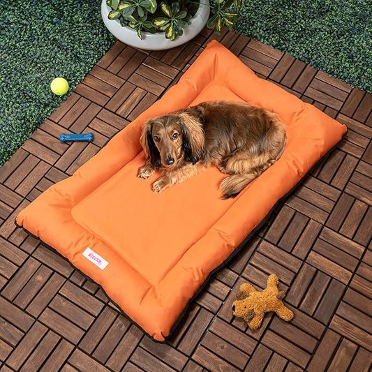 DBD3004B-XL Archie 46" x 41.5" Traditional Oxford Waterproof Indoor/Outdoor Hand-Washable Memory Foam Camping Pet Bed, Tangerine