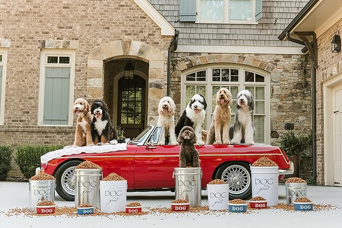 Harry Barker Pet Food Storage Collection, Classic Silver Food Storage - Large