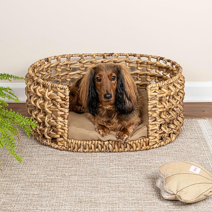 DBD4000A Gigi 24" x 18" Modern Bohemian Handwoven Hyacinth Open-Weave Oval Pet Bed with Machine-Washable Cushion, Natural
