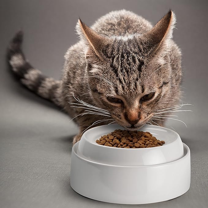 CatGuru Cat Bowls, Whisker Friendly Cat Food Bowl for Indoor Cats, Reliefs Whisker Fatigue, Wide Pet Bowl, Non Slip Pet Feeding Bowls, Shallow Kitten Dish (Marshmallow)