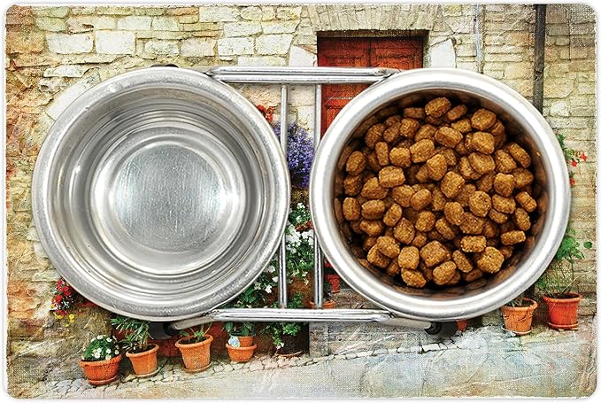 Lunarable Tuscan Pet Mat for Food and Water, Colorful Flowers Outside Home in Italian Hilltown Assisi Rustic Door Image, Non-Slip Rubber Mat for Dogs and Cats, 18" X 12", Orange Violet