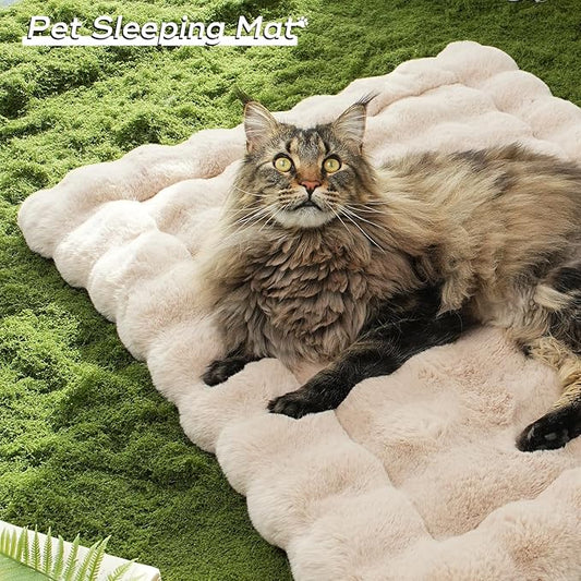 Plush Cat Beds for Indoor Cats Faux Fur Pet Mat with Non-Slip Bottom Cozy Kitten Bed for Carriers/Couch/Floor/Dog & Puppy Friendly 23 x 15 Inch Medium Coffee