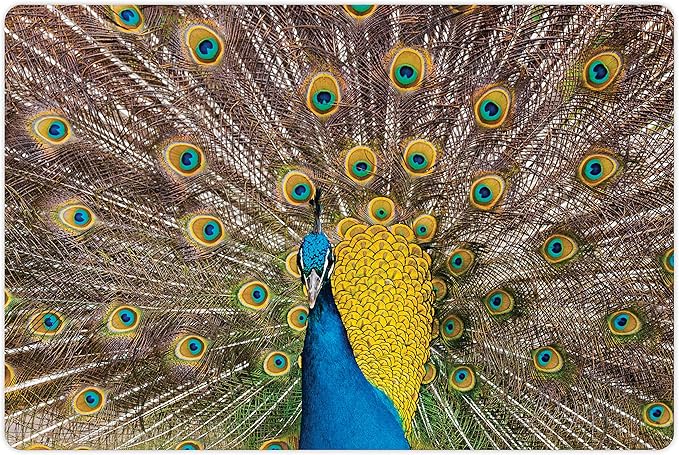Lunarable Peacock Pet Mat for Food and Water, Peacock Displaying Feathers Vibrant Colors Eye Shaped Patterns Picture, Non-Slip Rubber Mat for Dogs and Cats, 18" X 12", Mustard Brown